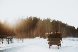 kāzas ziemā zirgi